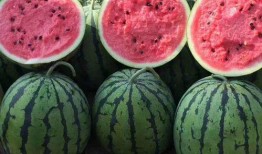 不舍昼夜吃瓜娱乐